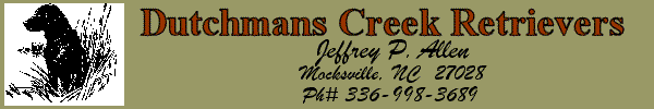 Dutchmans Creek Retrievers